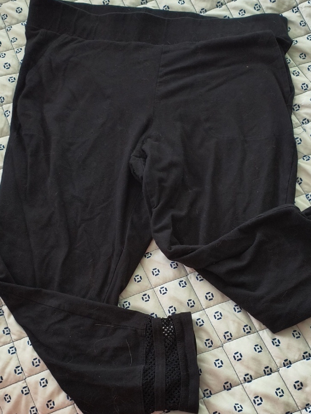 torrid Black Leggings with Lace Hem